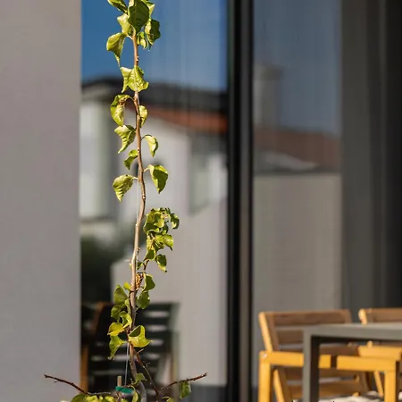 Apartmán The 8 *