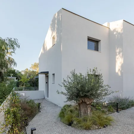 The 8 * بوليخرونو